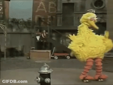 Big Bird Wearing Roller Skates GIF