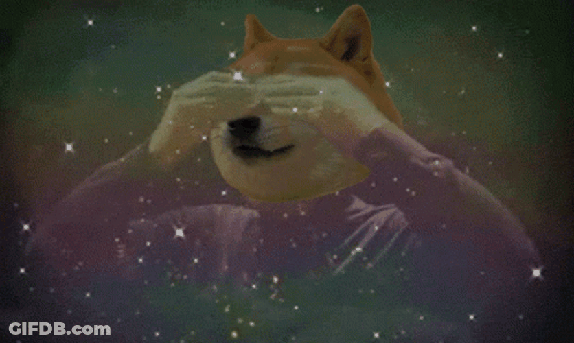 Big Brain Meme Dog Parody GIF