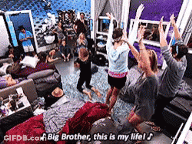 Big Brother Again This Is My Life GIF