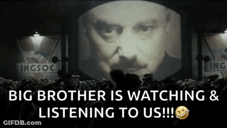 Big Brother Is Watching Again GIF