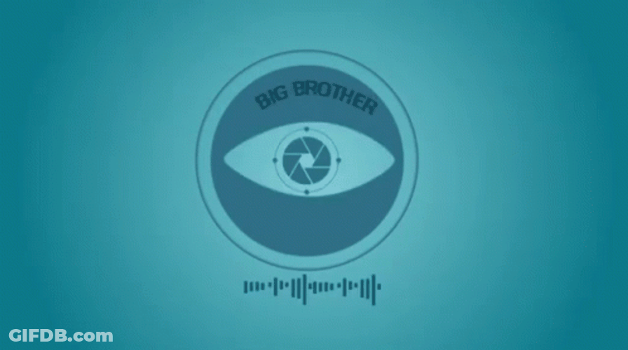 Big Brother Is Watching You Again GIF