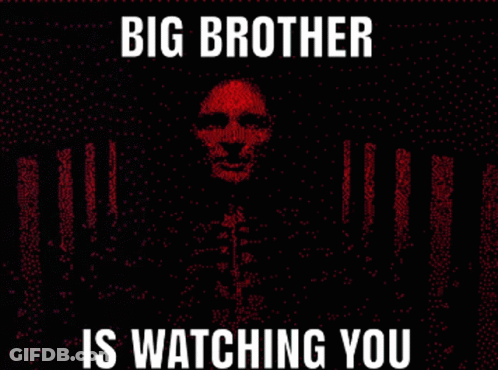 Big Brother Is Watching You Red Background GIF