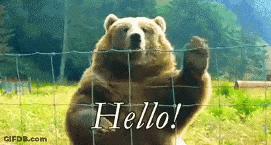 Big Brown Bear Wave Hello GIF