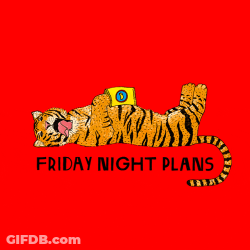 Big Cat Tiger Friday Night Plans GIF