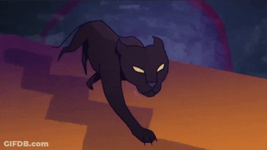 Big Cats Black Panther Running GIF