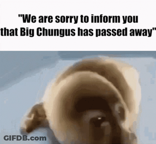Big Chungus Passed Away Sad Seal GIF