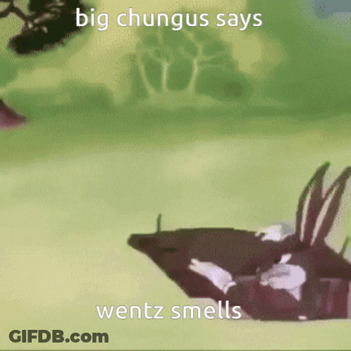 Big Chungus Says Wentz Smells GIF