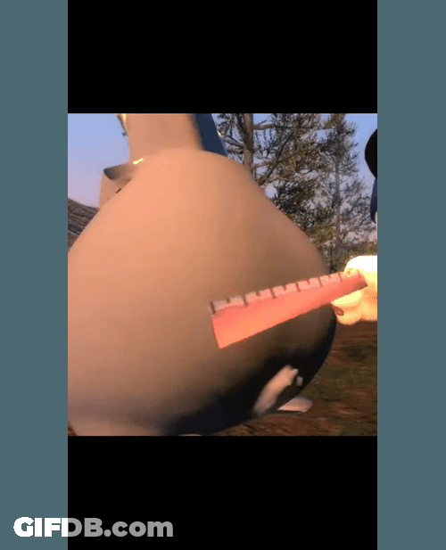 Big Chungus Thicc Ruler Measurement GIF