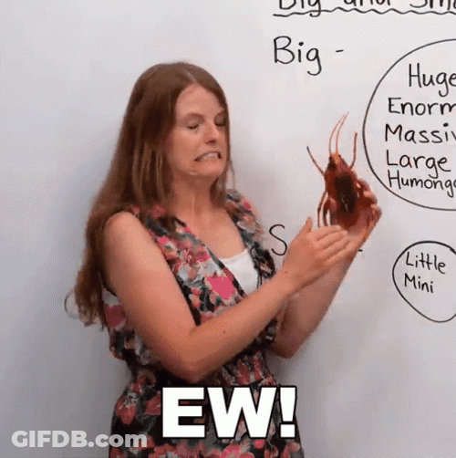 Big Cockroach Ew Emma Engvid GIF