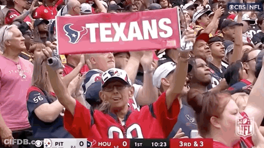 Big Crowd Cheering For Houston Texans GIF