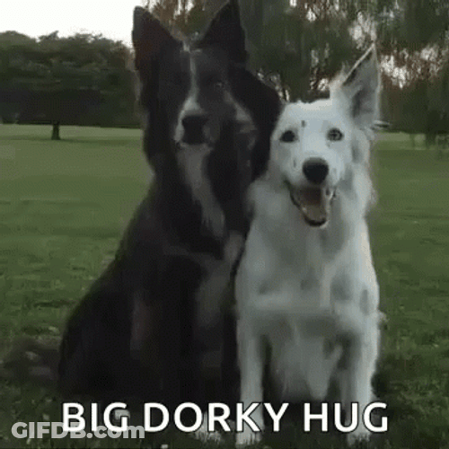 Big Dawg Dorky Hug GIF