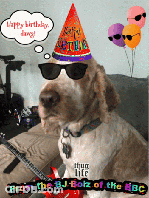 Big Dawg Happy Birthday GIF
