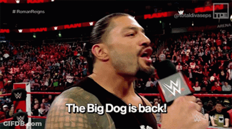 Big Dawg Is Back GIF
