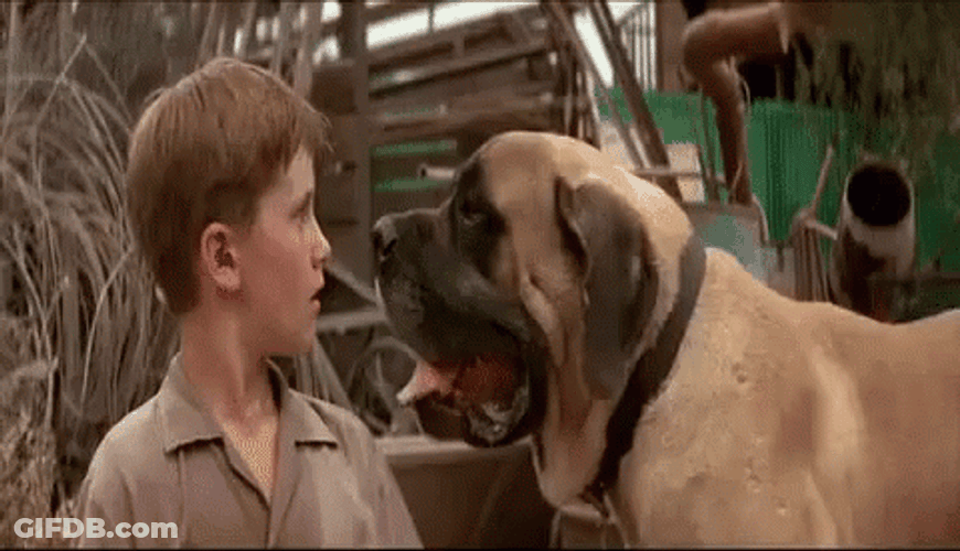Big Dawg Kisses GIF