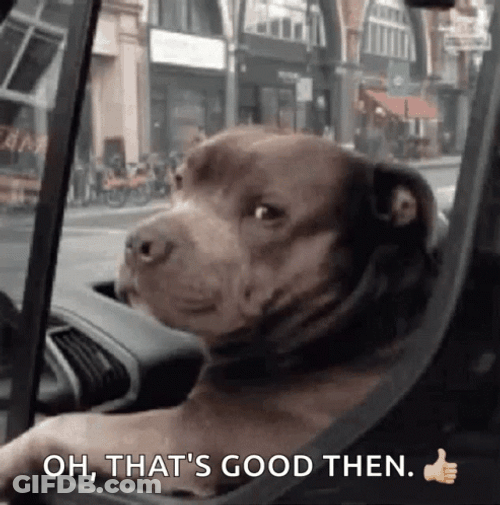 Big Dawg Oh That's Good GIF