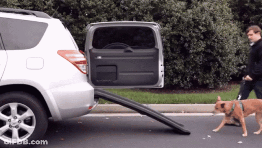 Big Dawg Ramp GIF