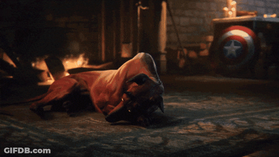 Big Dog Fighting Demon Slayer GIF