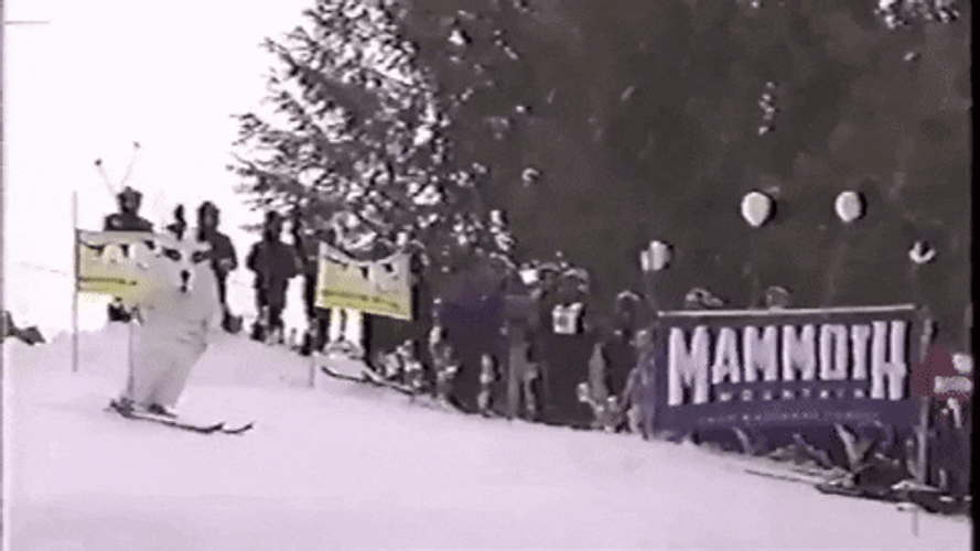 Big Dog Skiing Down Snow Mountain GIF