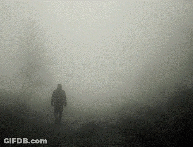 Big Eye Hiding In The Mist GIF