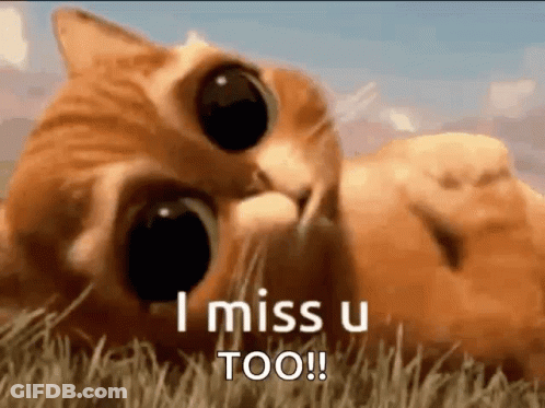 Big-Eyed Cat Laying In Grass Says I Miss U Too GIF