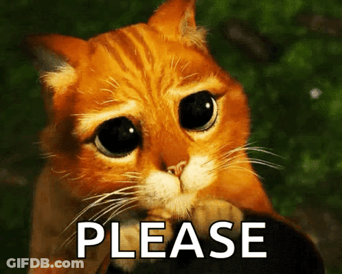 Big Eyed Cat Saying Please GIF