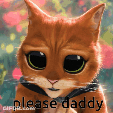 Big Eyed Cat Saying Please Daddy GIF