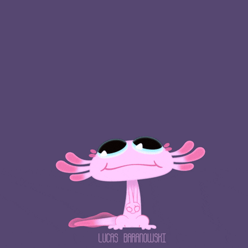 Big Eyes Axolotl GIF