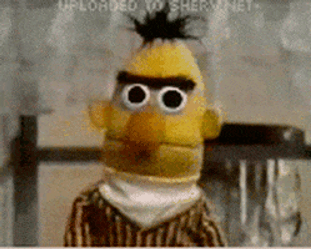 Big Eyes Bert Watching You GIF