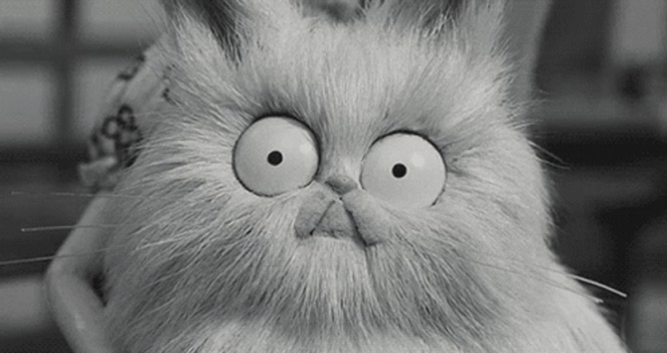 Big Eyes Mr. Whiskers Frankenweenie GIF