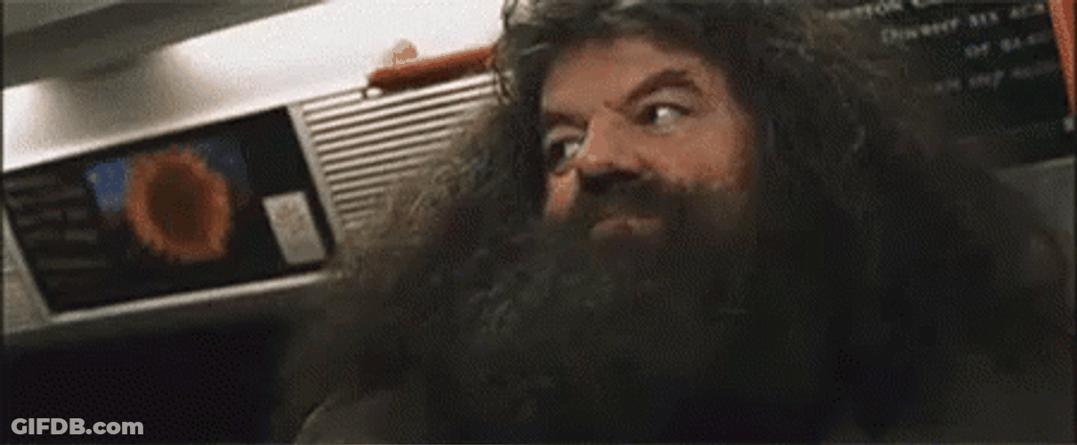 Big Eyes Rubeus Hagrid GIF