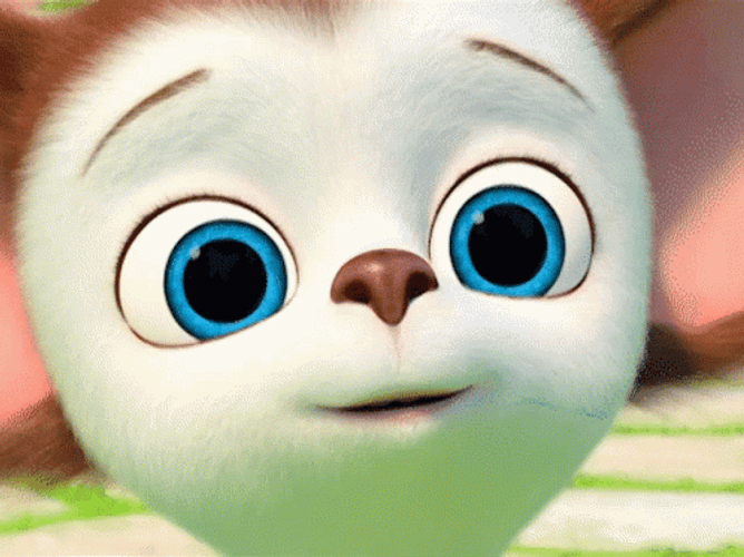 Big Eyes The Barkers GIF
