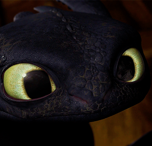 Big Eyes Toothless GIF