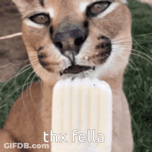 Big Floppa Enjoying Ice Cream GIF