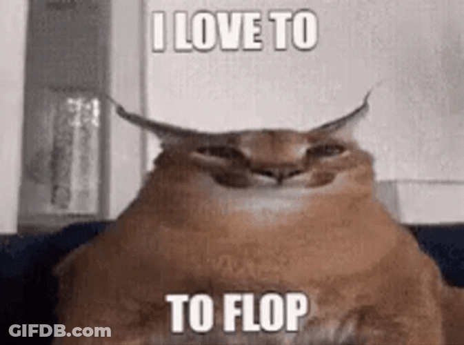 Big Floppa Flop GIF