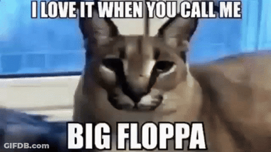 Big Floppa True Playa Video Clip GIF