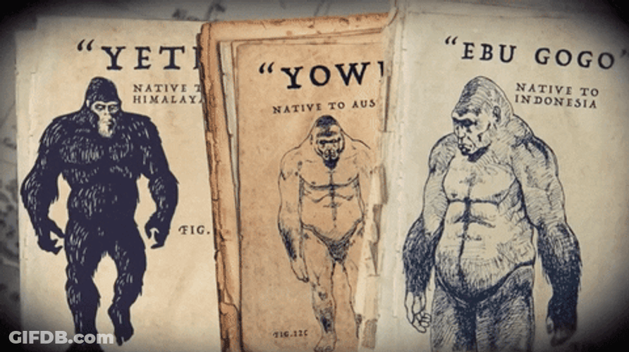 Big Foot Convincing Evidence GIF