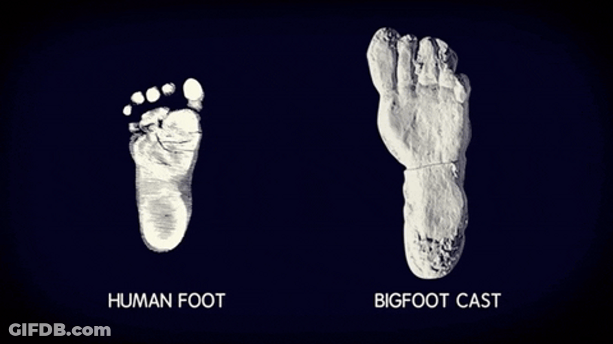 Big Foot Difference To Human Foot GIF