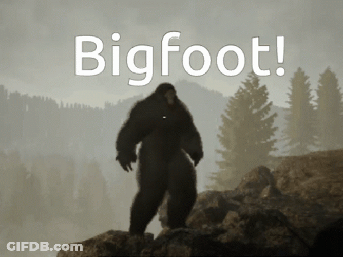 Big Foot Poster GIF