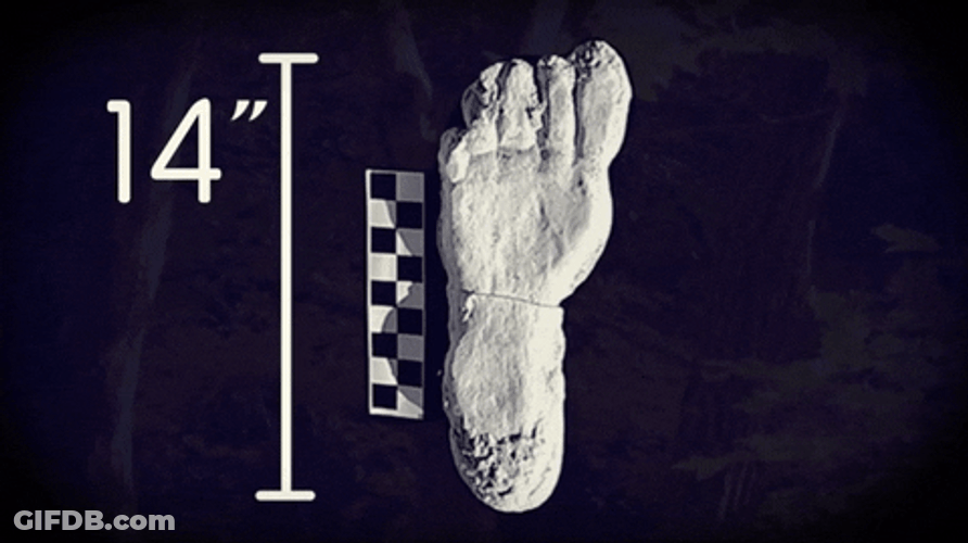 Big Foot Size GIF