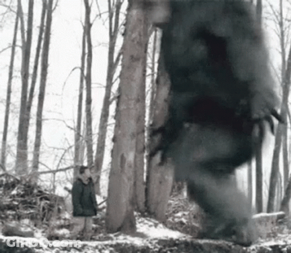 Big Foot Stomp GIF