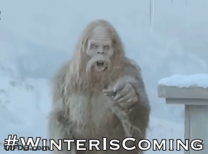 Big Foot Winter Is Coming GIF