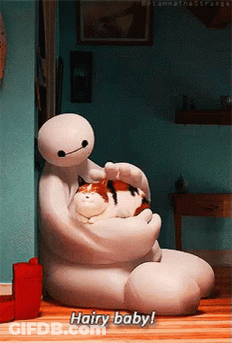 Big Hero 6 Character Holding Cat Saying Hairy Baby GIF