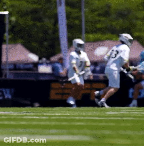 Big Hit Lacrosse GIF