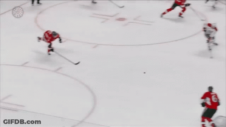Big Hit Take On Fierce Hockey Game GIF