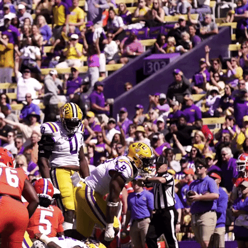 Big Hits Football Ecstatic Air Punch Loop GIF