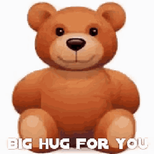 Big Hug For You Bear GIF