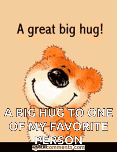 Big Hug To Favorite Person GIF
