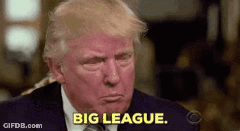 Big League Donald Trump GIF