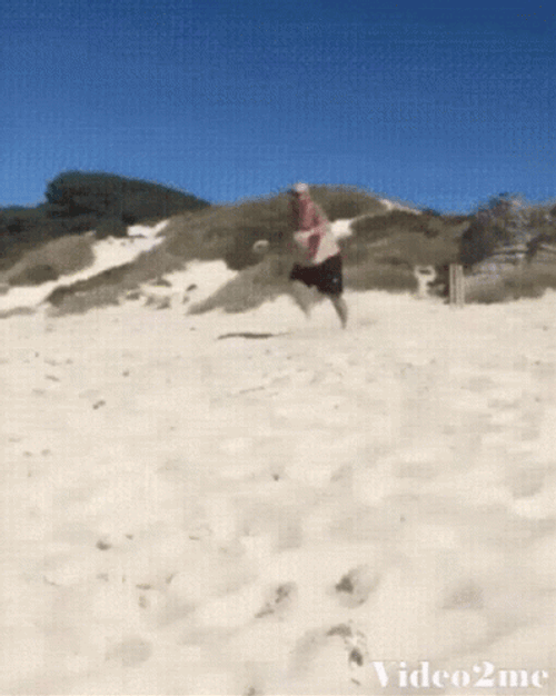 Big Man Head Stand Funny Beach GIF