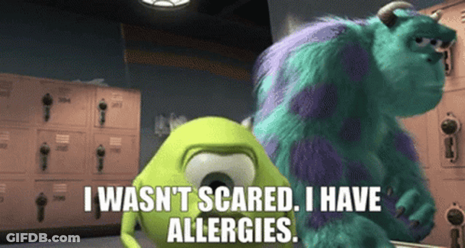 Big Mike I Wasn't Scared I Have Allergies GIF
